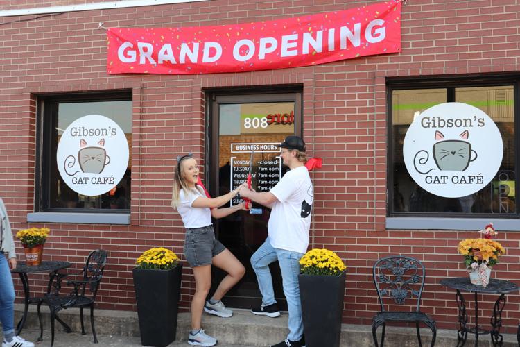 Crowdfunded cafe supplies Conway with caffeine, cats Online Features