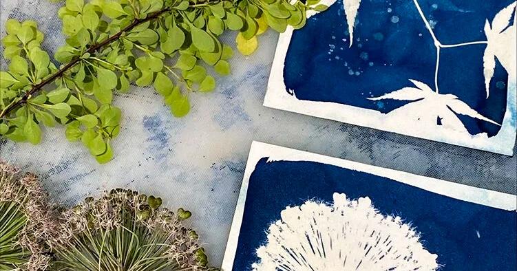 Artist’s interactive Sunday in the Gallery will feature cyanotype printing on June 14