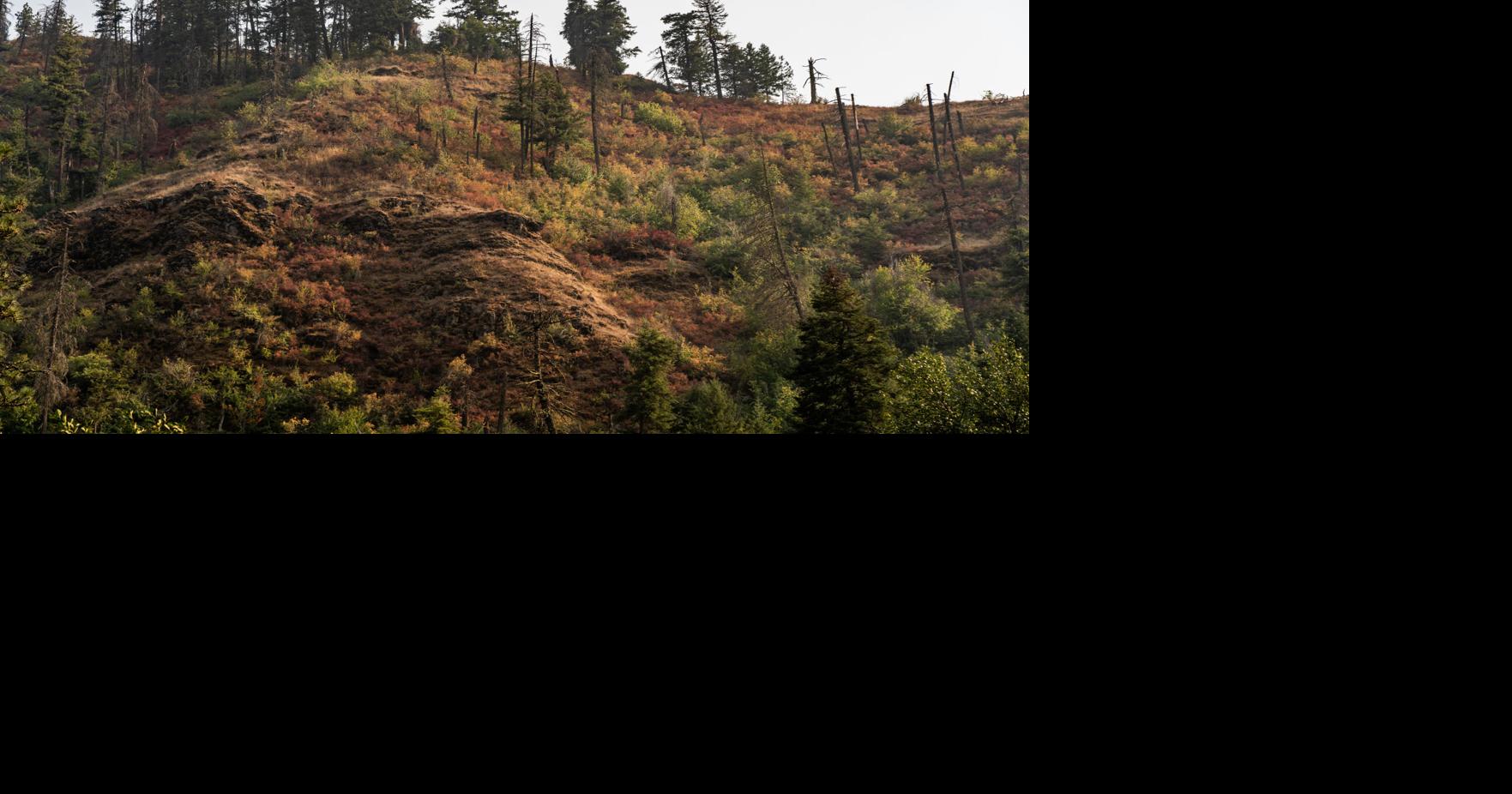 New team takes over firefighting efforts on 3 fires burning near Walla Walla