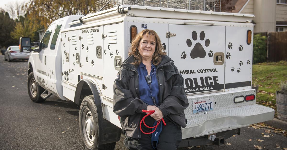 Saving Weasel: Walla Walla animal control officer comes to rescue while ...