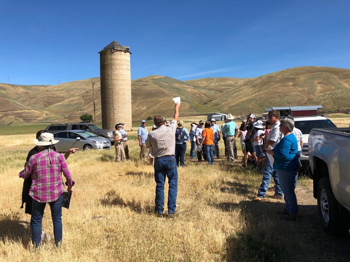 The Broughton Land Company Food