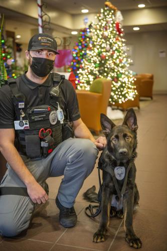 New Providence St. Mary Security Dog
