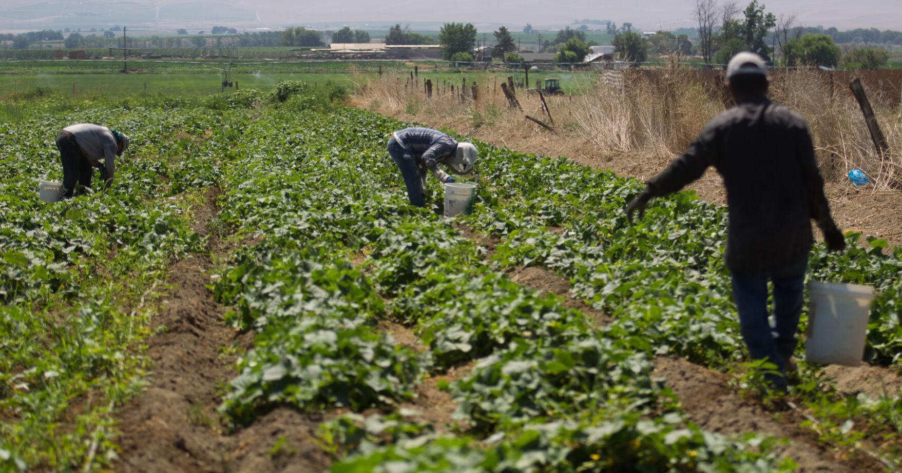 State agency issues updated heat protections for outdoor workers starting July 17 - Vimarsana News