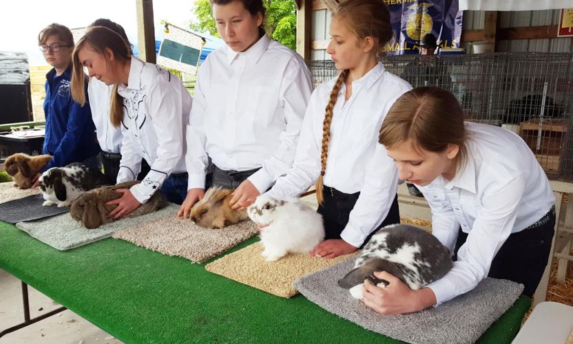 It’s showtime for juniors in MiltonFreewater Local