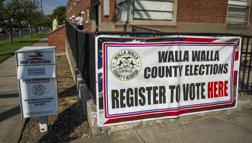 Campaigning in a pandemic doorbelling, now there's Zooming