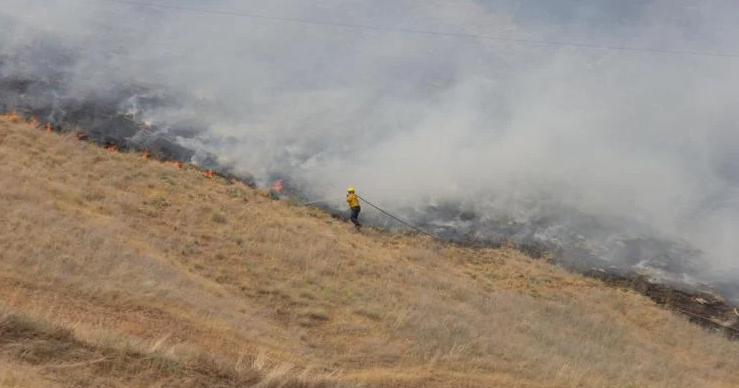Homes threatened, evacuation notices in effect for wildfire in Umatilla County - Vimarsana News