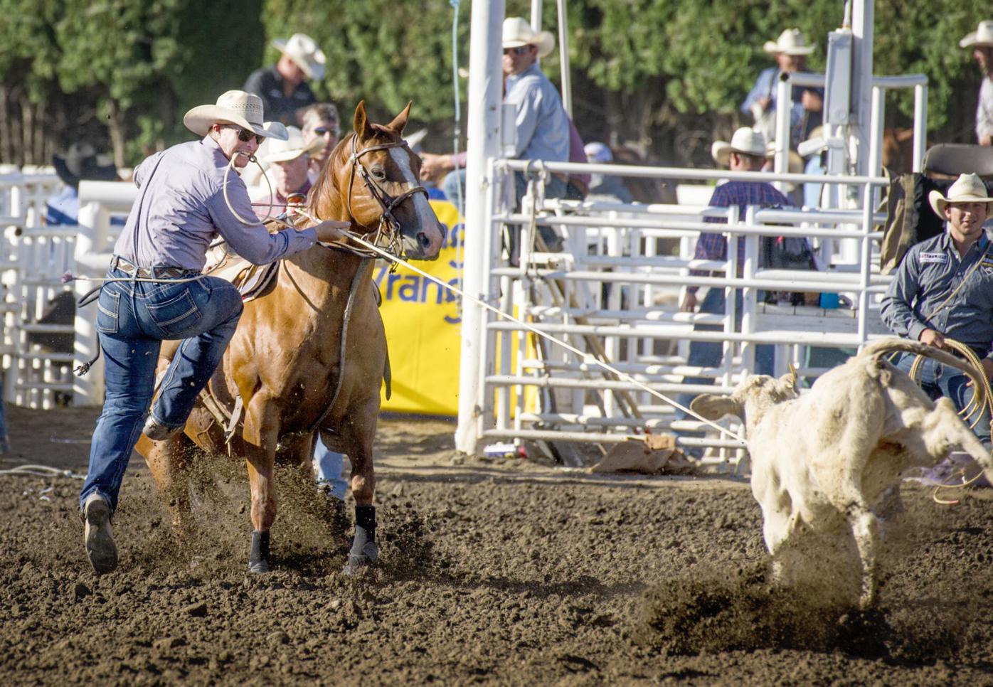 Tyler Wade - Rodeo Contestant Biography