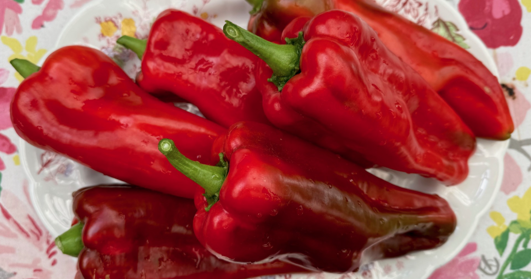 In the garden: reliable vegetable varieties and pollinator-friendly plants