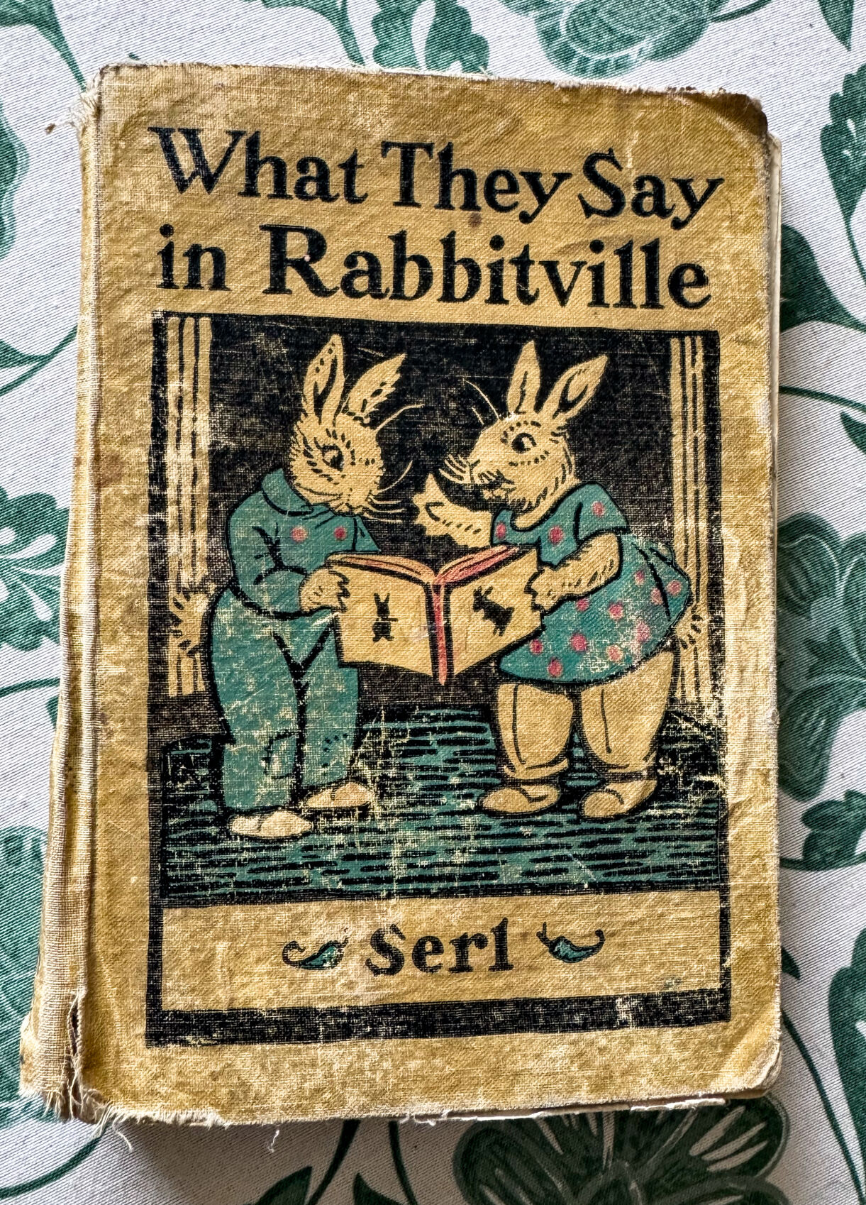 Etcetera: 1925 children's reader 'What They Say in Rabbitville