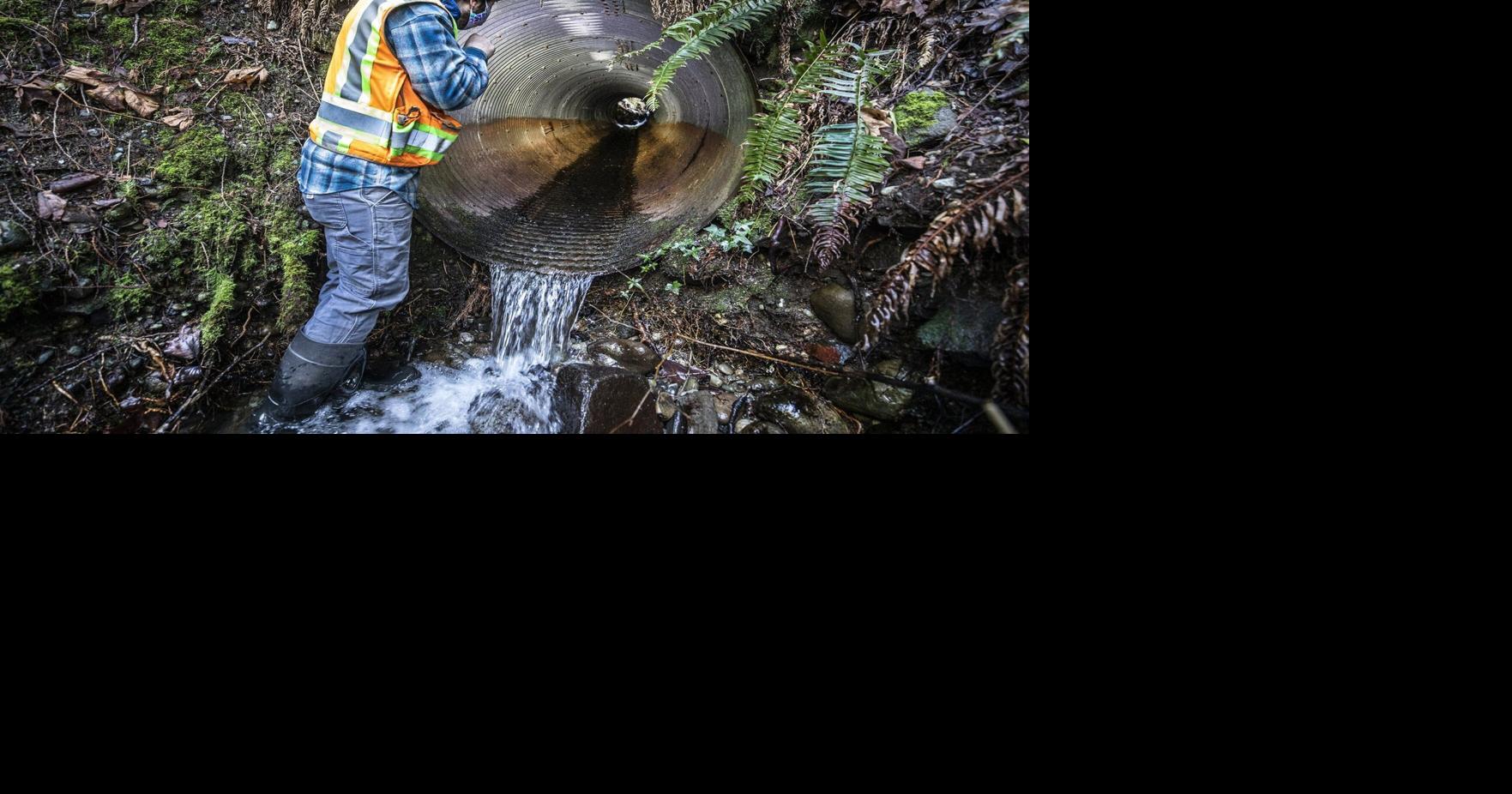 Other Views: Culvert project must benefit salmon, taxpayers ...