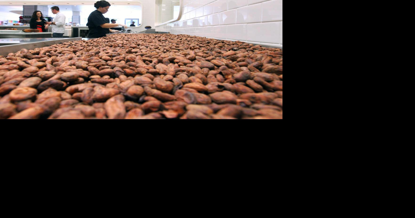 Other views: Climate change Grinches look to ruin the holidays