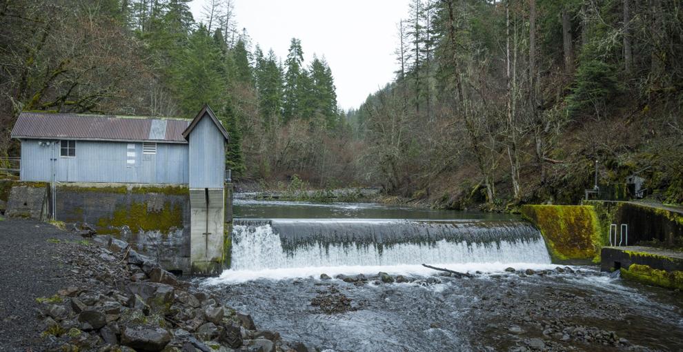 Walla Walla's Mill Creek Watershed provides, and every drop counts