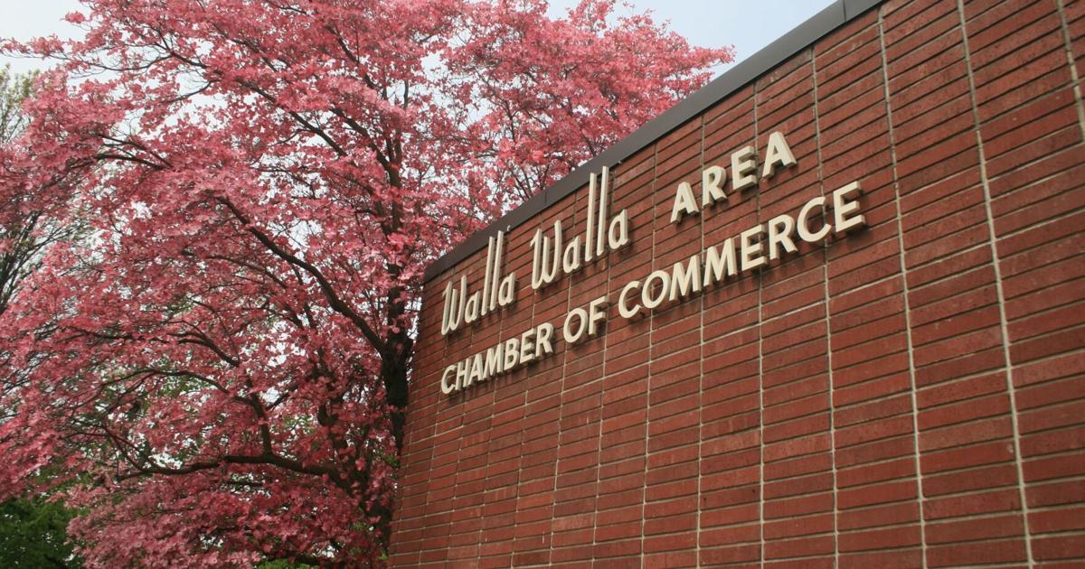 The Chamber Chronicles: Summer connections that strengthen our community