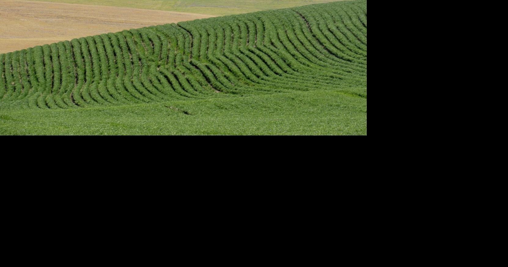 Day Tripper: Explore Palouse on road less traveled