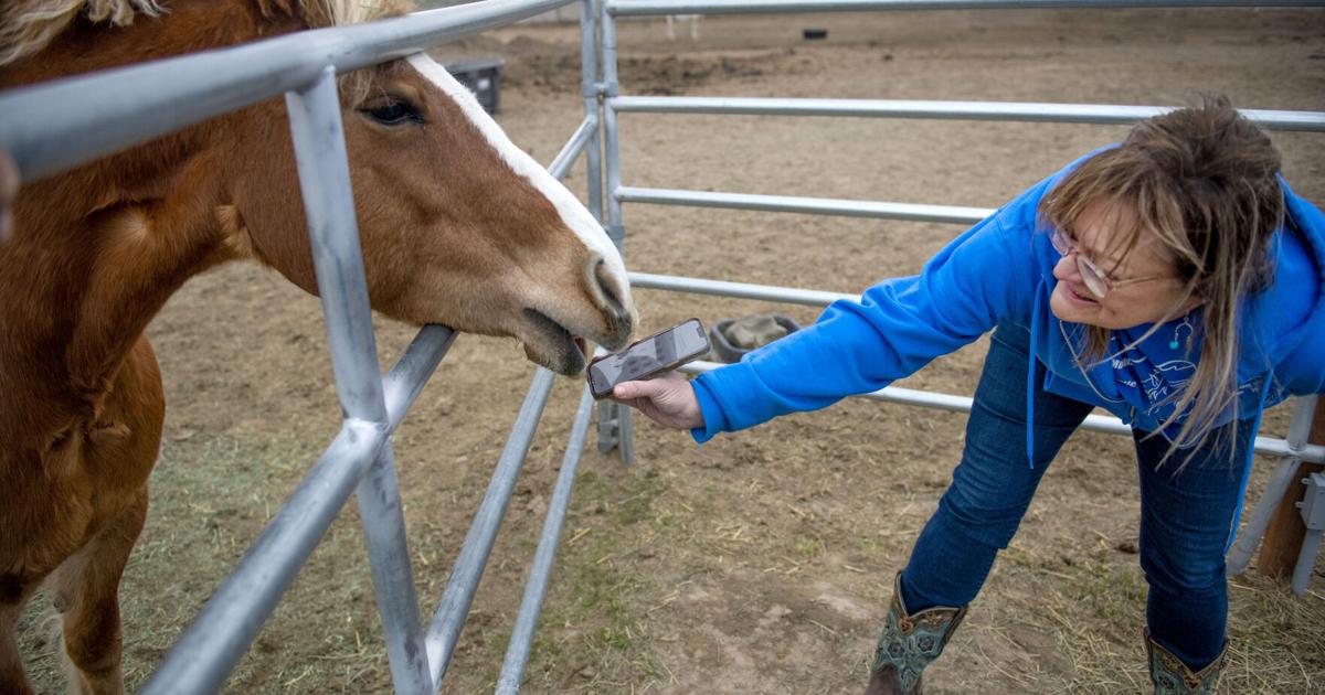 Blue Mountain Therapeutic Riding, WWFD among Wildhorse Foundation grant recipients