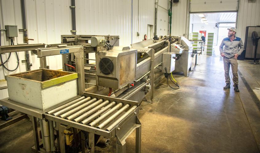 MiltonFreewater business prepares for the arrival of this year's