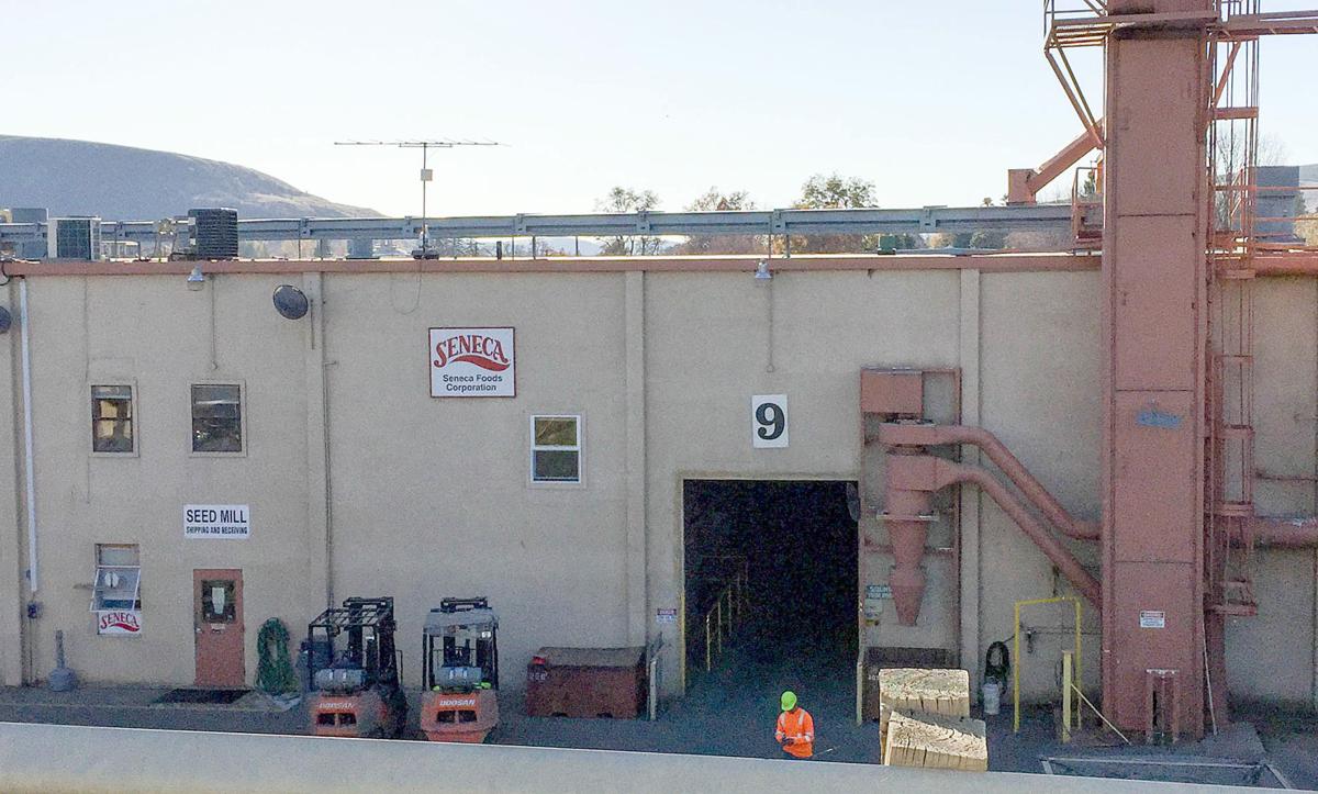 Seneca Foods ramping up operations in Dayton Port Of Columbia union
