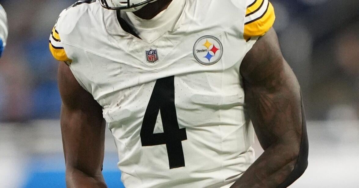 Steelers’ DK Metcalf gets into altercation with fan in Detroit