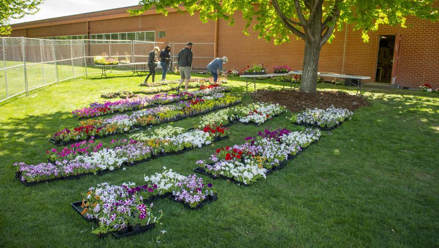Walla Walla FFA Plant Sale open through Friday Education union