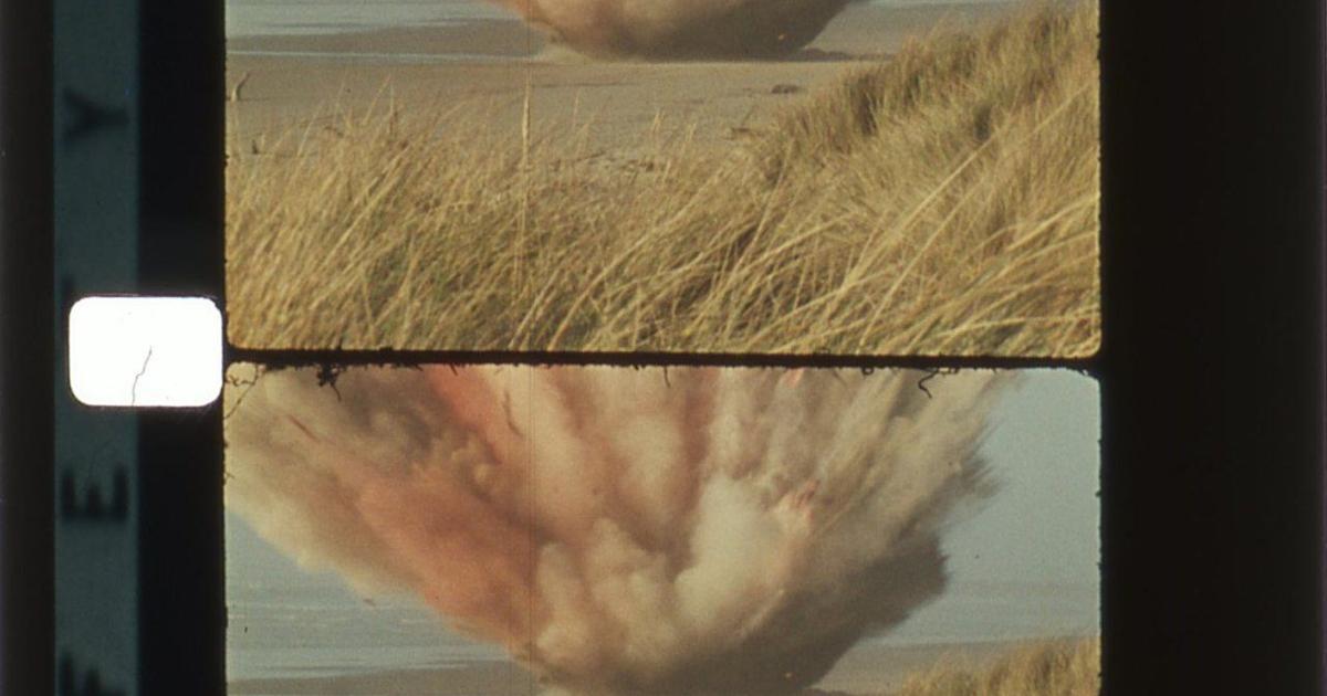 Exploded Carcass Fifty years ago, Oregon exploded a whale carcass in a burst that ...