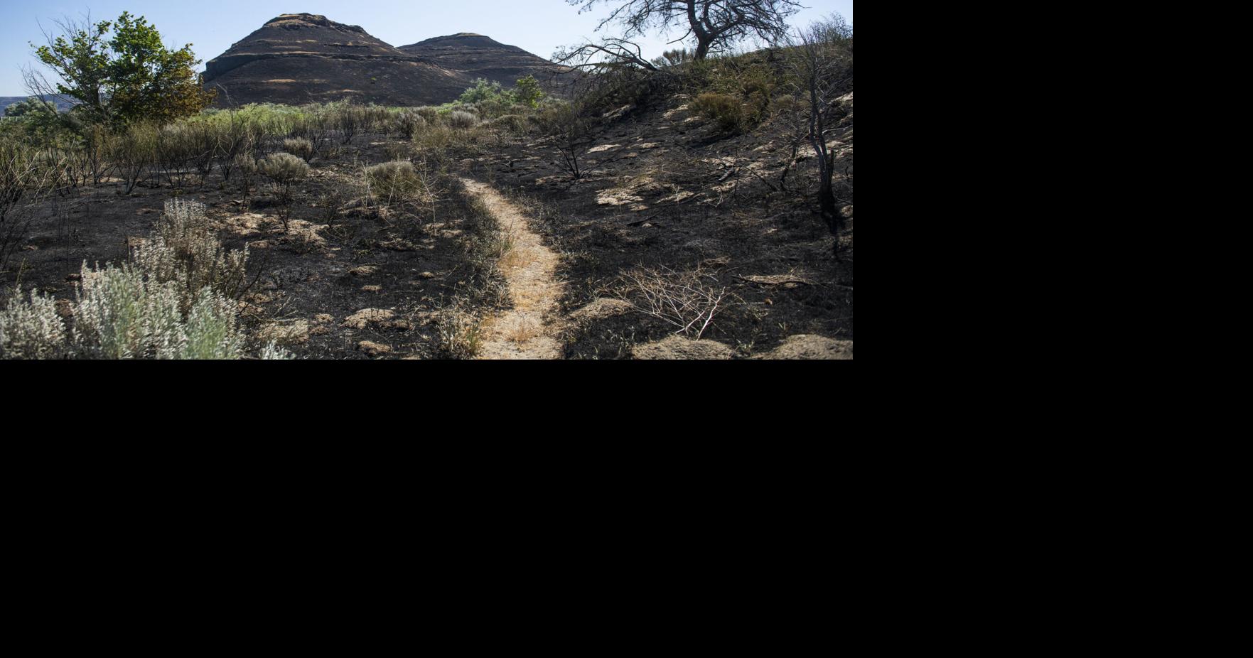 Hat Rock Fire fully contained, Oregon officials said Local union