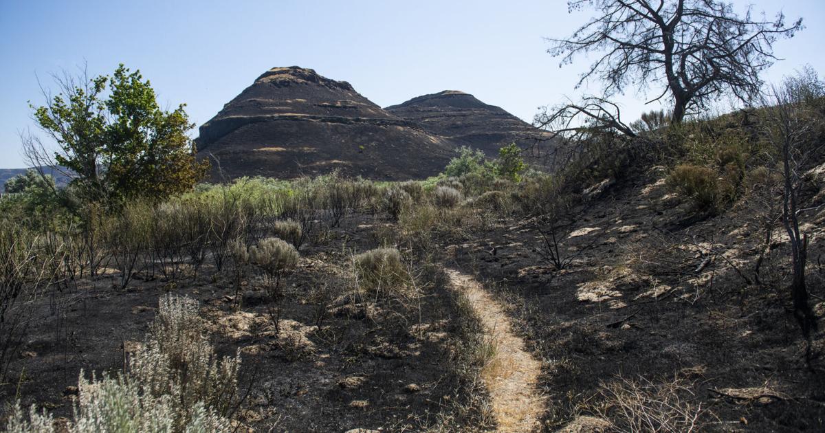 Rock Fire Hat Rock Fire fully contained, Oregon officials said | Local | union ...