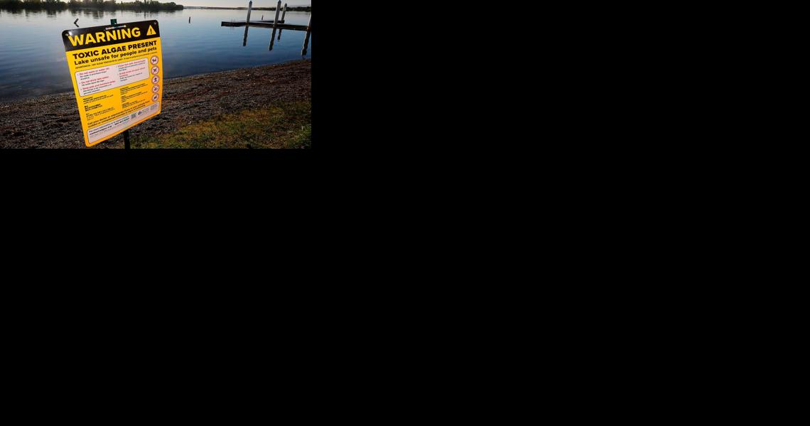 Dog's death possibly linked to toxic algae along Columbia River in Tri-Cities - Vimarsana News