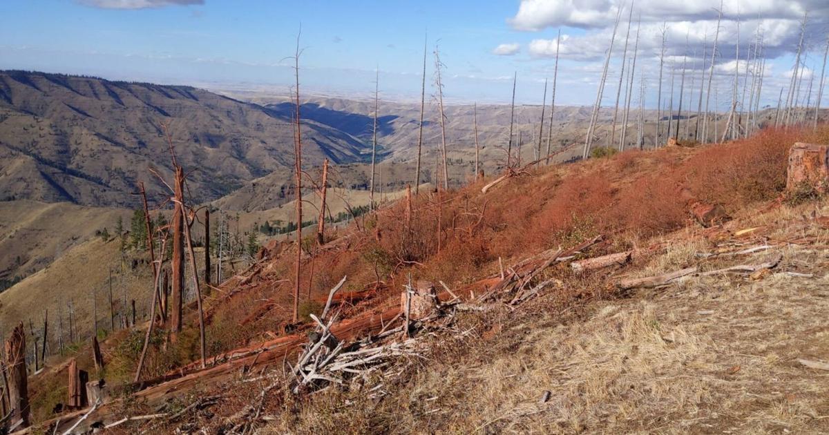 12-week-old Green Ridge Fire now 61% contained | News | union-bulletin.com