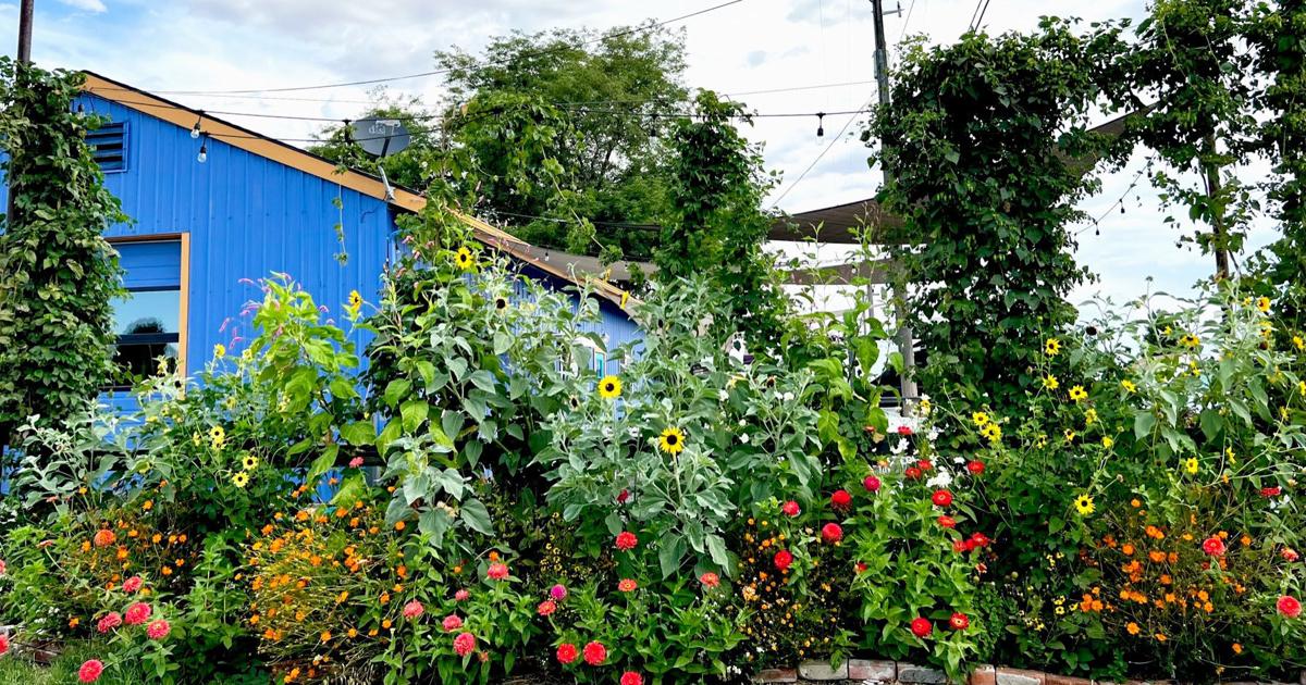 Tips for layering color, texture and plant size in the garden | Tips for layering color, texture and plant size in the garden |