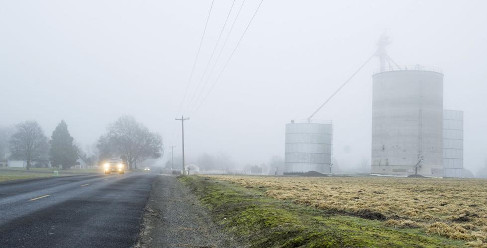 Dense fog impedes visibility, Alaska Airlines flights to Walla Walla