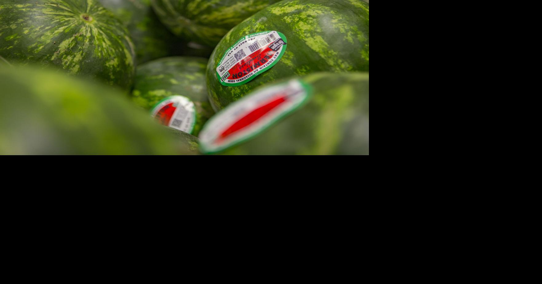 Hermiston watermelons weathering the heat Northwest
