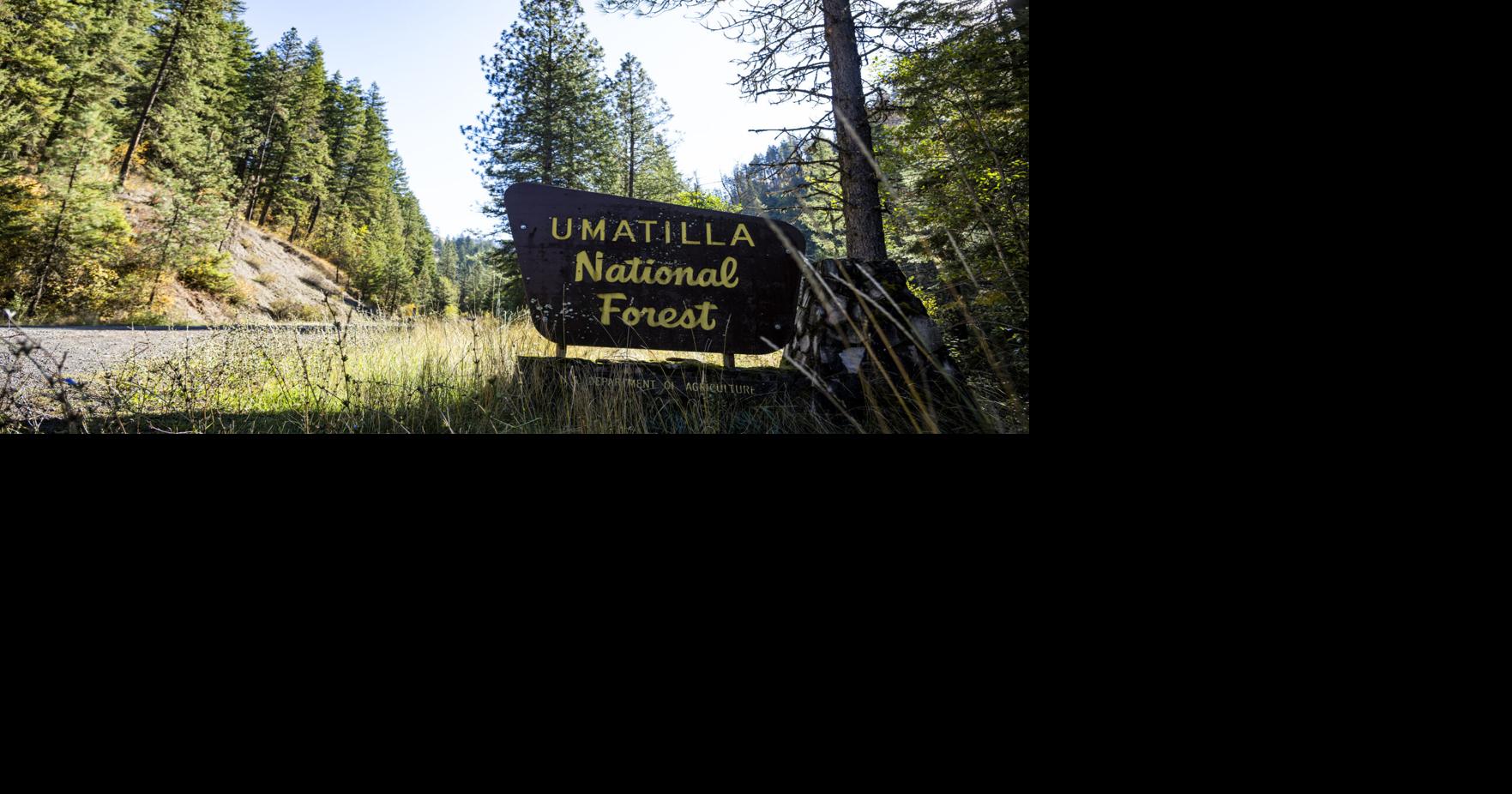 Public meetings roundup: Forest Service to talk about work planned in Umatilla National Forest