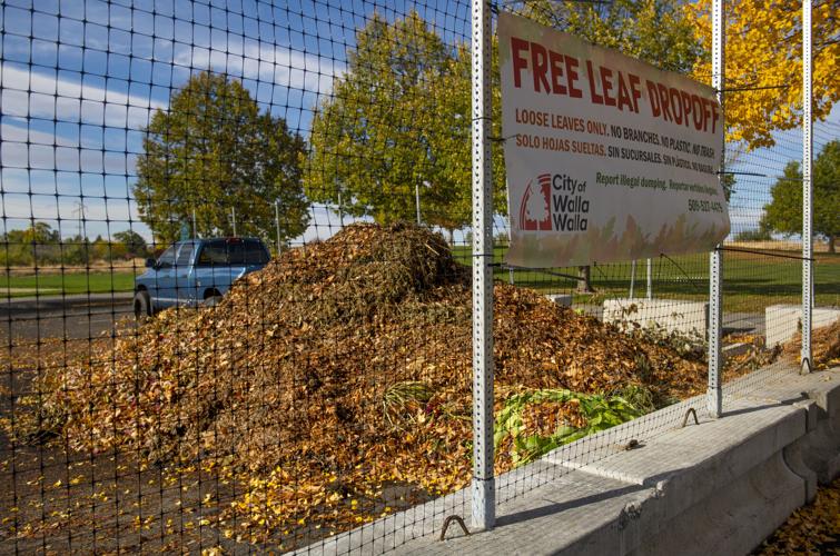 How to prepare fall leaves and brush for collection – Welcome to the City  of Fort Worth