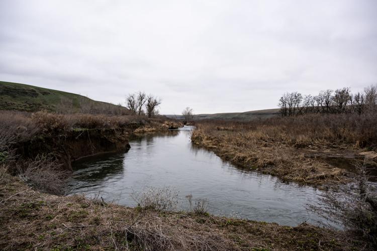 CTUIR leads 450-acre Touchet River floodplain restoration project ...