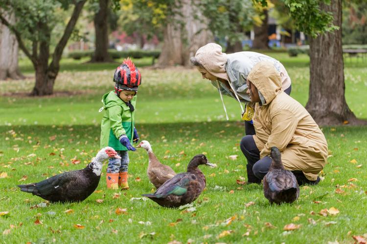 Cold, wet weather ahead in Walla Walla this week after rainy weekend