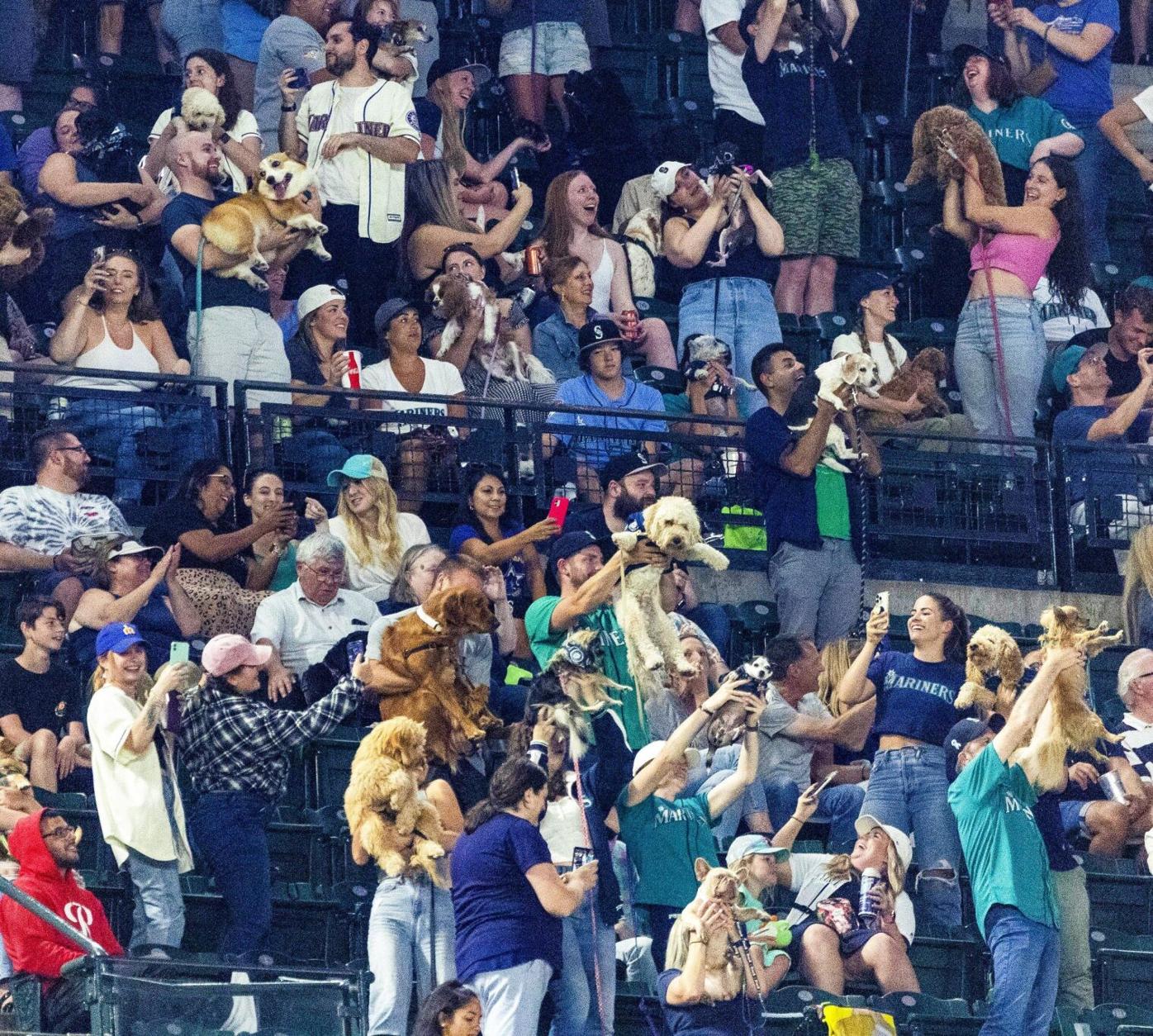 Fireworks, Bark in the Park and bobbleheads: Mariners announce 2023  promotions schedule, Mariners