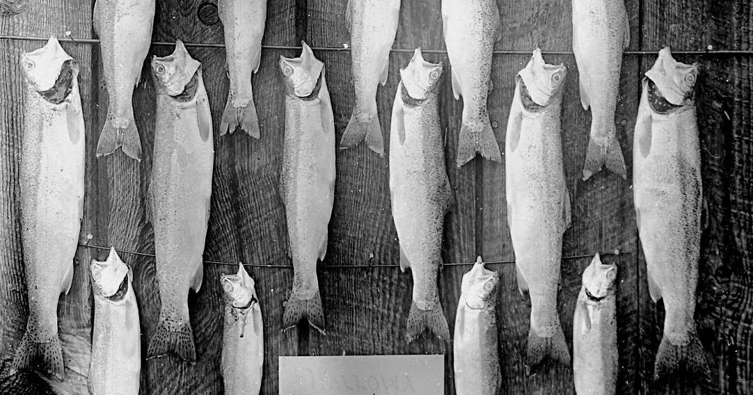 Walla Bygone Walla Walla: Wallowa lake in 1912 | Local History | union ...