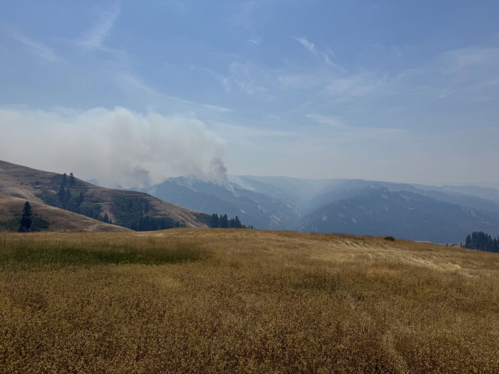 Paradise Fire in Mill Creek Watershed grows to 453 acres as teams set ...
