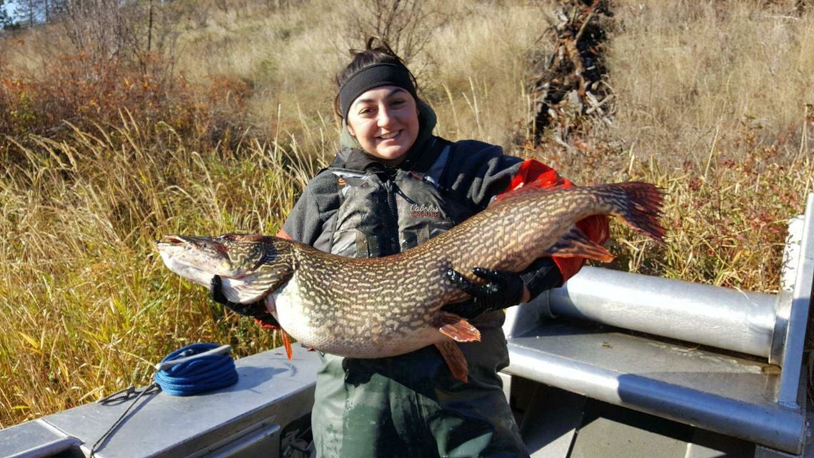 Invasive northern pike found 10 miles from Grand Coulee Dam