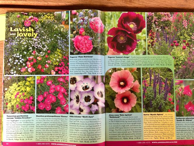 Winter gardeners delight in seed and plant catalogs Lifestyles
