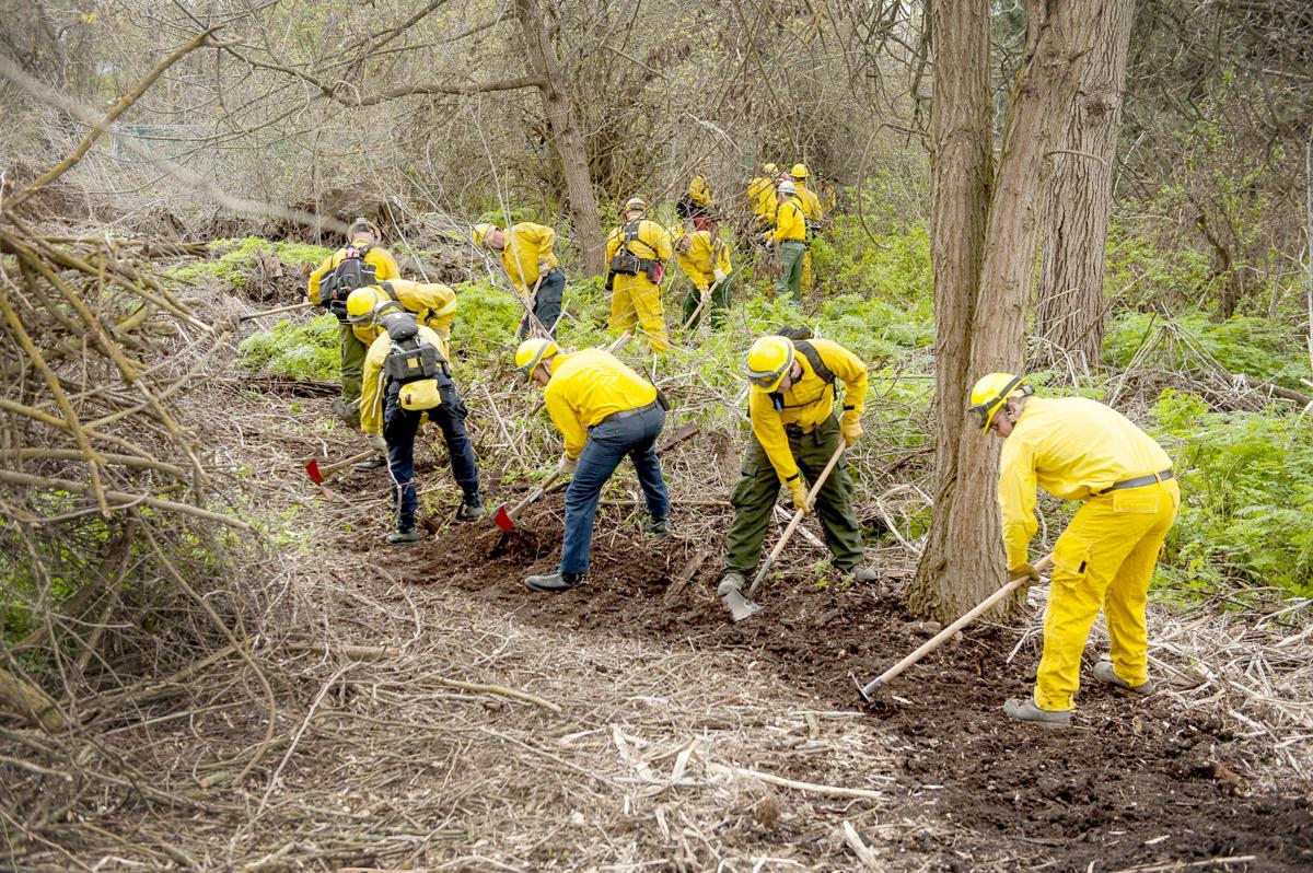 Wildland Wildland