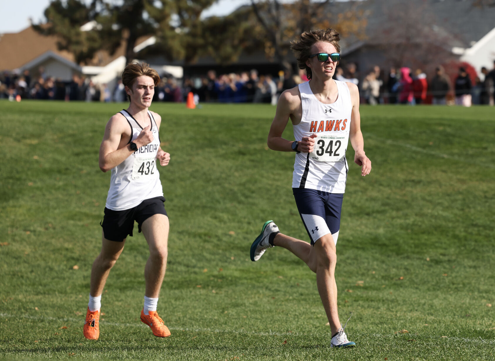Nov. 8 recap: High school cross country runners cap season at state ...