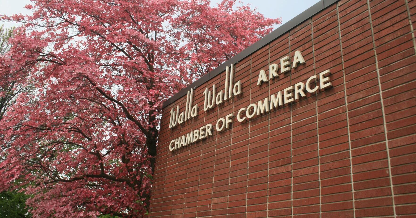 The Chamber Chronicles: A year of transformation at the WW Valley Chamber of Commerce - Vimarsana News