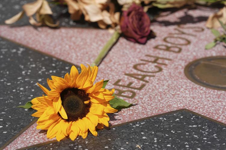 Bruce Springsteen, Paul McCartney, Mike Love and Elton John react to the  death of Brian Wilson | National | union-bulletin.com