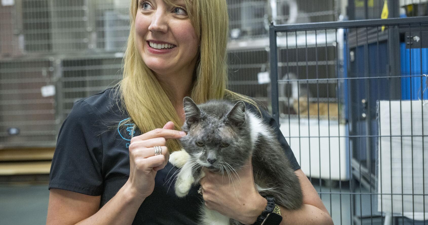 Community Q&A: Dr. Ashley Rice finds her calling as a shelter veterinarian - Vimarsana News