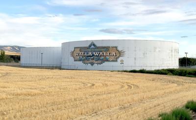 Water Tank Mural Eyed For Wipeout News Union Bulletin Com