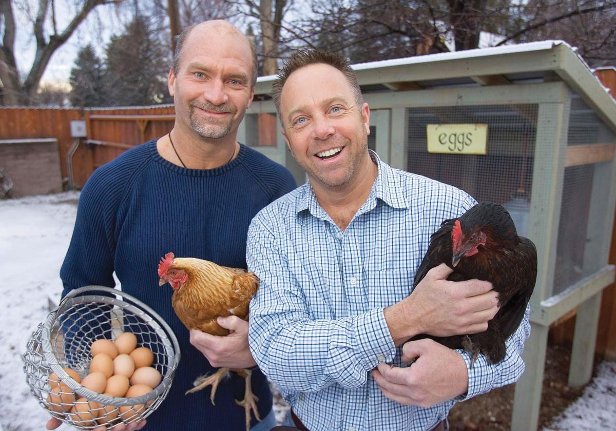 The Chicken And The Egg A Backyard Poultry Primer Home Union