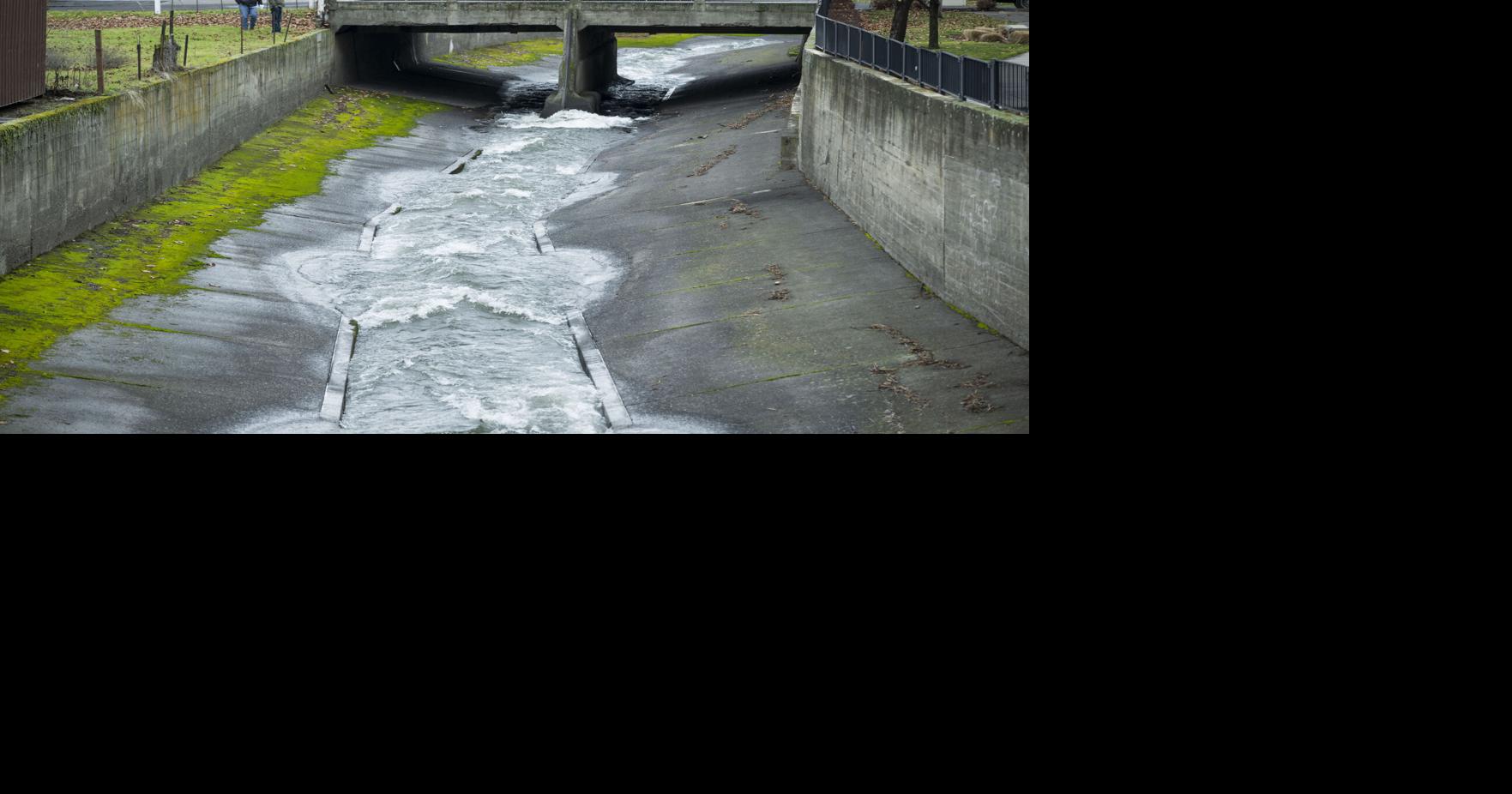 Walla Walla agencies continue work to improve fish passage in Mill