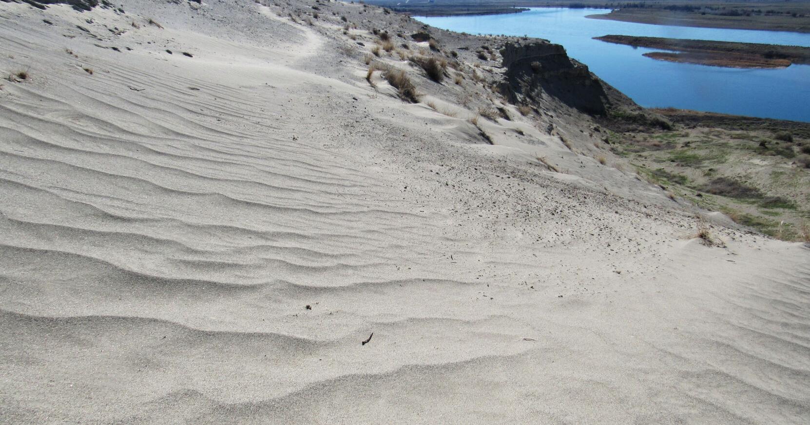 Dunes day: Hanford Reach offers chance to play in the sand - Vimarsana News