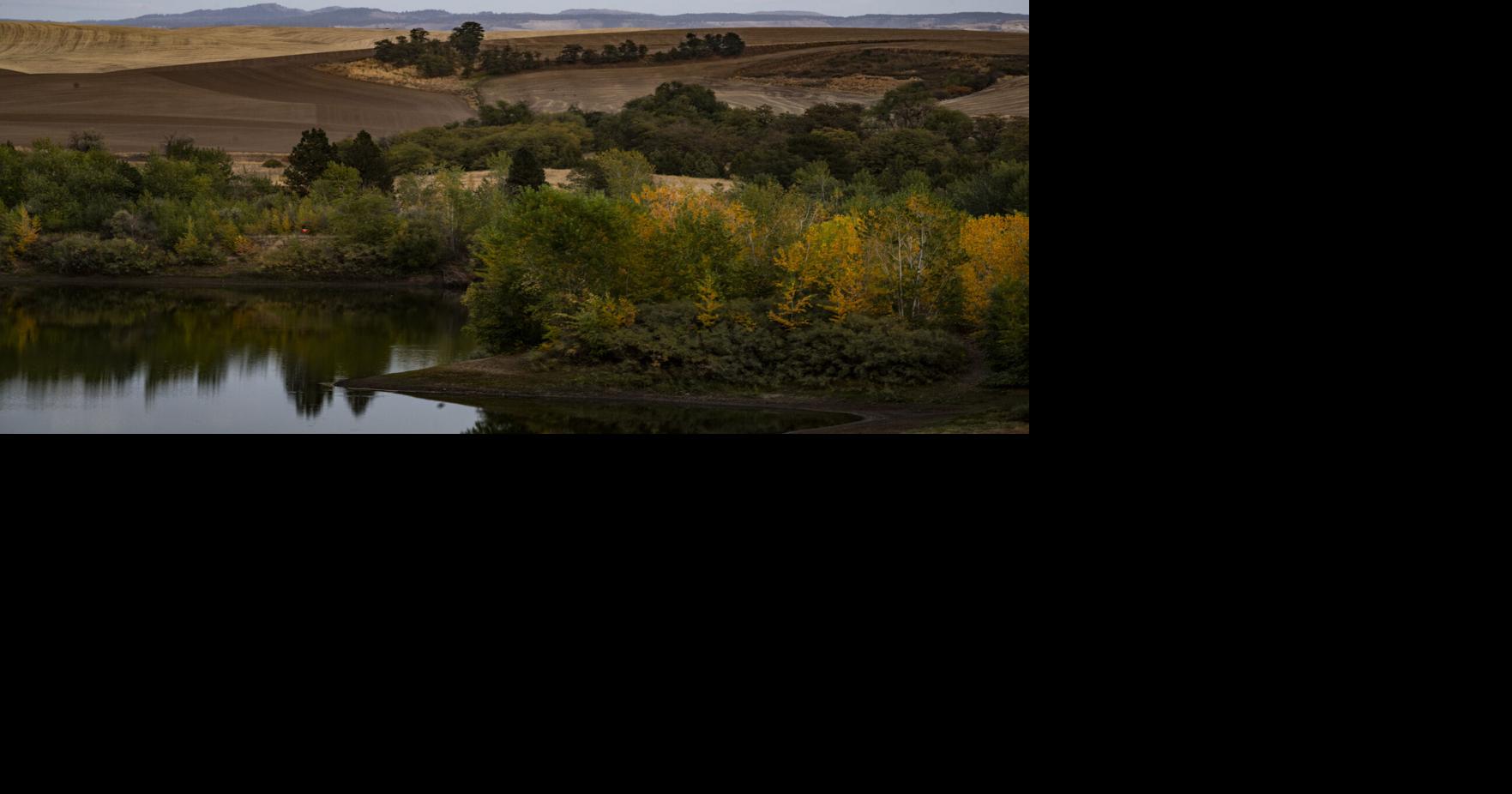 Blue Mountains-based ecologist to speak at free event in Walla Walla